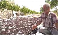  پزشکی خانواده و نظام ارجاع به زبان مردم جوین / زبان ترکی  