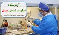 آمادگی پذیرش نمونه های مشکوک به بیماری سل در آزمایشگاه میکروب شناسی مرکز بهداشتی درمانی شهید الداغی 