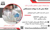 برگزاری کارگاه عملی" کار با حیوانات آزمایشگاهی" 