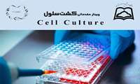 وبینار کشت سلولی