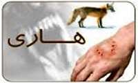 فعالیت شبانه روزی مراکز درمان و پیشگیری هاری