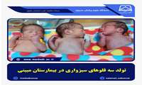 تولد سه قلوهای سبزواری در بیمارستان شهیدان مبینی 