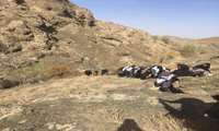 برگزاری اردوی کوهنوردی ویژه دانشجویان خواهر دانشکده پرستاری جوین