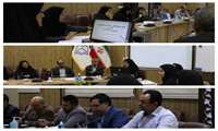 برگزاری کمیته دانشگاهی سلامت نوجوانان و مدارس در معاونت بهداشتی سبزوار