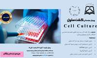 مرکز تحقیقات سلولی مولکولی برگزار میکند (وبینار اموزشی مقدماتی کشت سلول)