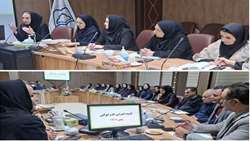 برگزاری کمیته آموزش طب ایرانی در معاونت بهداشتی دانشگاه علوم پزشکی سبزوار