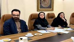  برگزاری نشست خبری طرح تحقیقاتی «بررسی تأثیر مکمل ویتامین D و ویتامین E بر شدت پس‌درد زایمان» در دانشگاه علوم پزشکی سبزوار