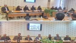 نشست تخصصی پژوهشگران دانشگاه‌های علوم پزشکی و حکیم سبزواری
