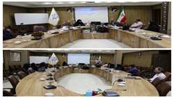  نشست هم اندیشی کنترل و مراقبت بیماری تب کریمه وکنگو درمعاونت بهداشتی برگزار شد
