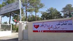فعالیتهای شبکه بهداشت و درمان شهرستان داورزن به مناسبت فرا رسیدن روز جهانی قلب ...