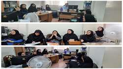 برگزاری جلسه هم اندیشی مسئولان سلامت خانواده شبکه های تحت پوشش معاونت بهداشتی سبزوار.    