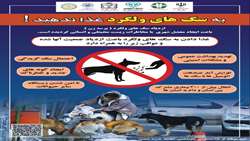 هاری را جدی بگیریم 