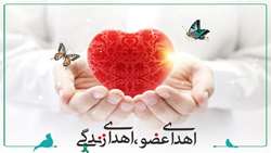 رشد 30 درصدی اهداء عضو در سبزوار