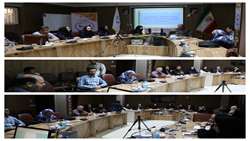 برگزاری کارگاه نیوسیب در معاونت بهداشتی سبزوار