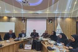 سومین جلسه هم‌اندیشی کارگروه سمن‌های سلامت سبزوار برگزار شد