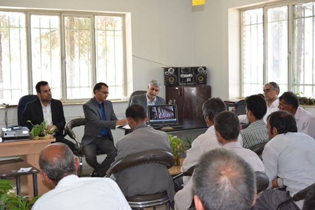 تب کریمه کنگو ریوند 