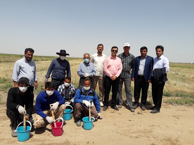 جونده کشی 97 