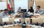 بررسی چالش‌ها و راهکارهای پیشگیری از سقط جنین در سبزوار