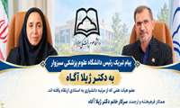 پیام تبریک رئیس دانشگاه علوم پزشکی سبزوار به دکتر ژیلا آگاه، عضو هیأت علمی که از مرتبه دانشیاری به استادی ارتقاء یافته اند.