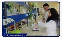 انجام 8 هزار و 486 مورد آزمایش شیمیایی و میکروبی در آزمایشگاه معاونت غذا و داروی دانشگاه