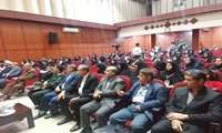  اولویت مراکز نفس، نجات فرزندان سالم مشروع است 